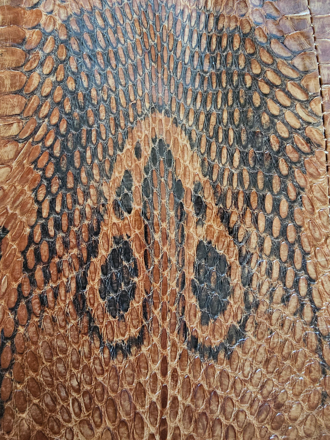 Close-up of a snake skin pattern with brown and black colors.